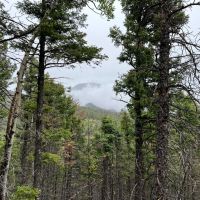 Tract 27 Spanish Peaks Ranch Estates Aguilar CO 81020 images 4