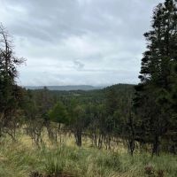Tract 27 Spanish Peaks Ranch Estates Aguilar CO 81020 images 5