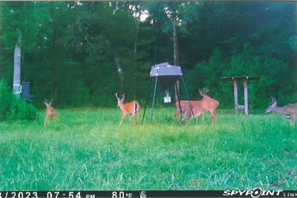 Incredible 117.13 Acre Hunting Recreation Tract in SW MS featured image