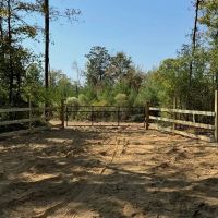 Incredible 117.13 Acre Hunting Recreation Tract in SW MS images 2