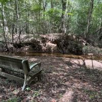 Incredible 117.13 Acre Hunting Recreation Tract in SW MS images 3