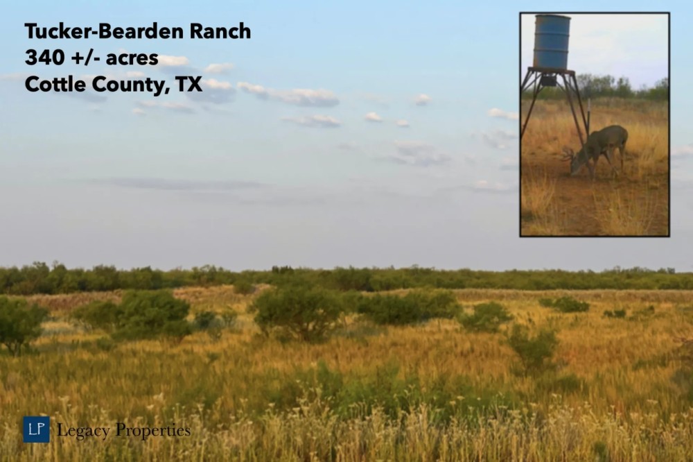 Tucker-Bearden Ranch featured image