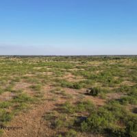 Tucker-Bearden Ranch images 3