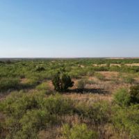 Tucker-Bearden Ranch images 4