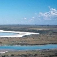 3,236 acres Grulla NWR Trukey Hunting Land in Roosevelt, TX images 2
