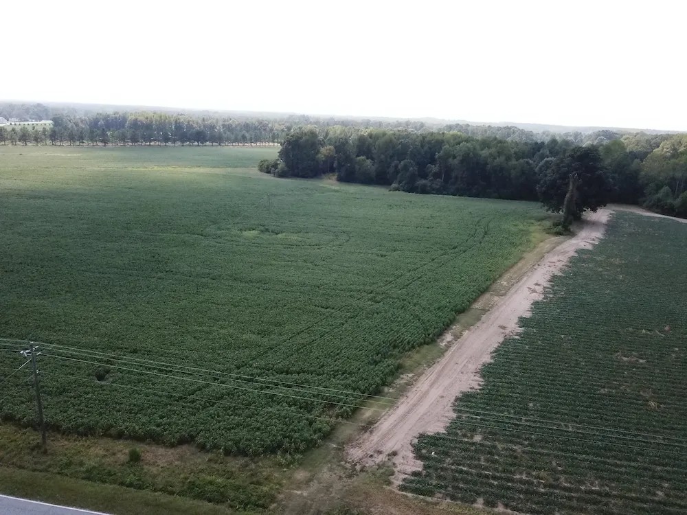 Red Oak Road Tillable Farm With Development Potential Lot 2 featured image