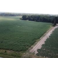 Red Oak Road Tillable Farm With Development Potential Lot 2