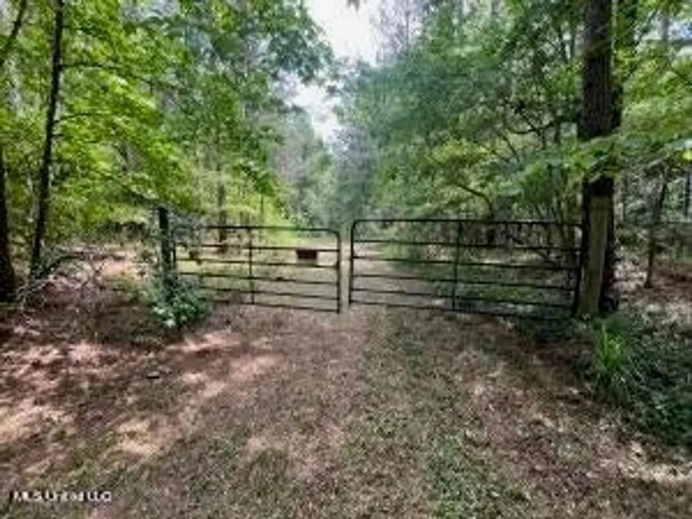 28 Acres in Hinds County featured image