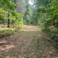 28 Acres in Hinds County images 2