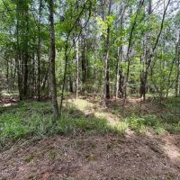 28 Acres in Hinds County images 5