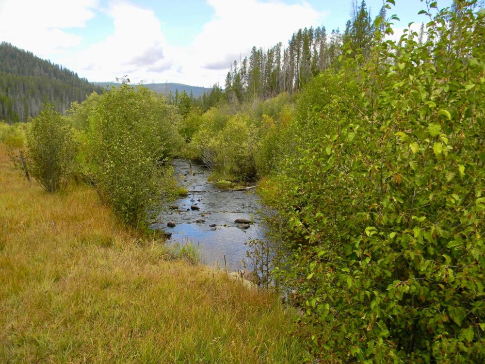 Phelan Creek Ranch featured image