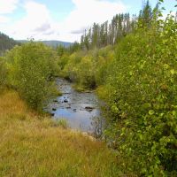 Phelan Creek Ranch