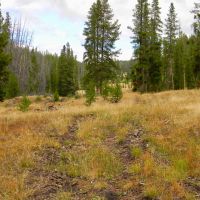 Phelan Creek Ranch images 3