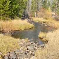 Phelan Creek Ranch images 4