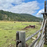 Phelan Creek Ranch images 5