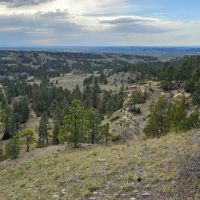 Yellowstone Wildlife Refuge images 4