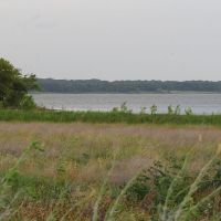 White Pelicans Hunting Hagerman NWR of 12,000 acres in Grayson, TX images 3