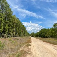 451 Acres The Game Preserve images 5