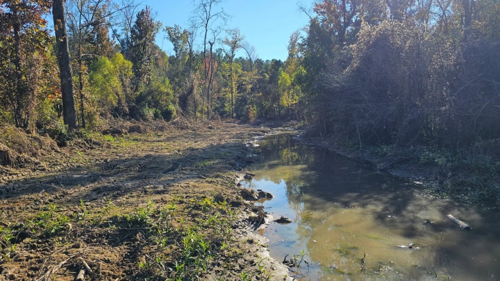 221 Acres in Carroll County MS featured image