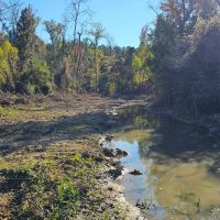 221 Acres in Carroll County MS