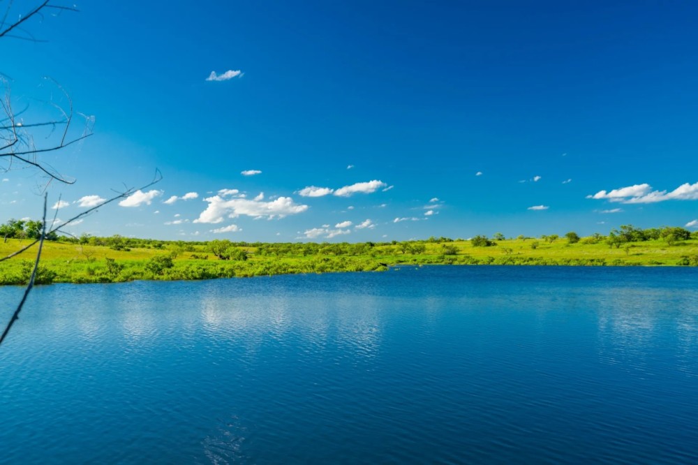 Lamkin Ranch featured image