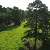 3168 FM 362 images 2