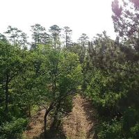 3168 FM 362 images 3