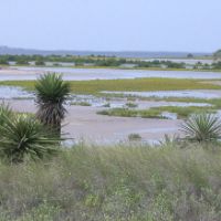 98,000 Acres Laguna Atascosa NWR Duck Hunting in Cameron, TX images 2