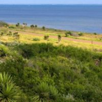 98,000 Acres Laguna Atascosa NWR Duck Hunting in Cameron, TX images 6