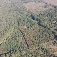 20 Acres in Leake County MS