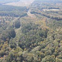 20 Acres in Leake County MS images 3