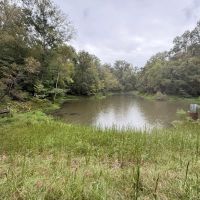 MS - Warren images 2