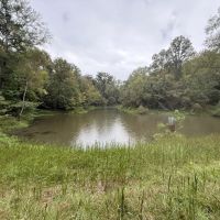 MS - Warren images 3