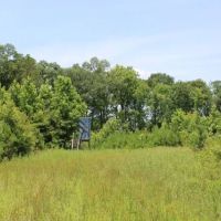 Watson Road - Sumter Tract