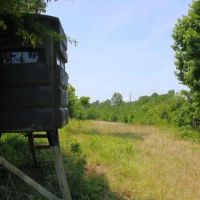 Watson Road - Sumter Tract images 5