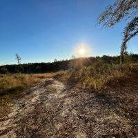 36.47 Acres Wayne in County MS images 1