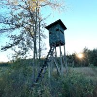 36.47 Acres Wayne in County MS images 2
