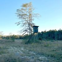 36.47 Acres Wayne in County MS images 4