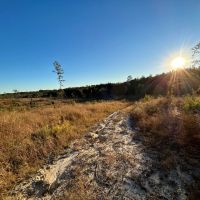 36.47 Acres Wayne in County MS images 5