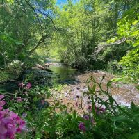 Little Butte Creek Hideaway