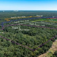 Tract B Hwy 69 Mineola Texas 75773 images 4