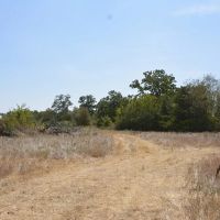 TBD Andreas Rd Round Top TX 78954 images 5
