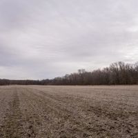 Maynard Property images 2
