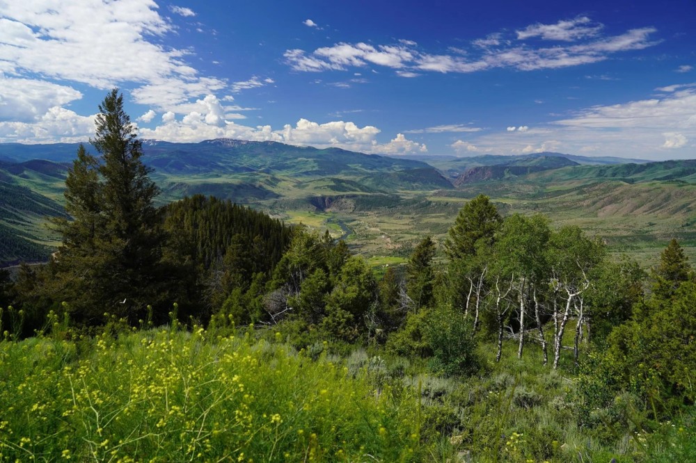 Canyon Creek Ranch featured image