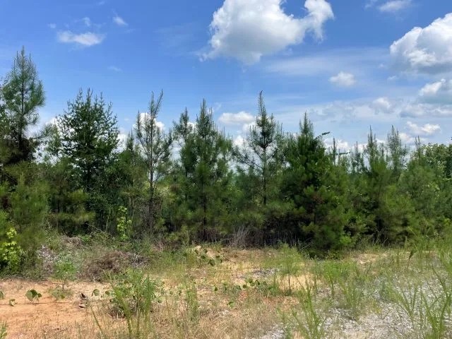 Fowlers Crossroads Tract featured image