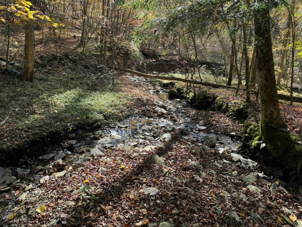 5 acre Building Lot and Recreational Land with Creek in Falconer NY Sprague Hill Rd Lot 2 featured image