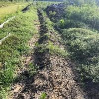 Maple Creek 2 Tract images 1