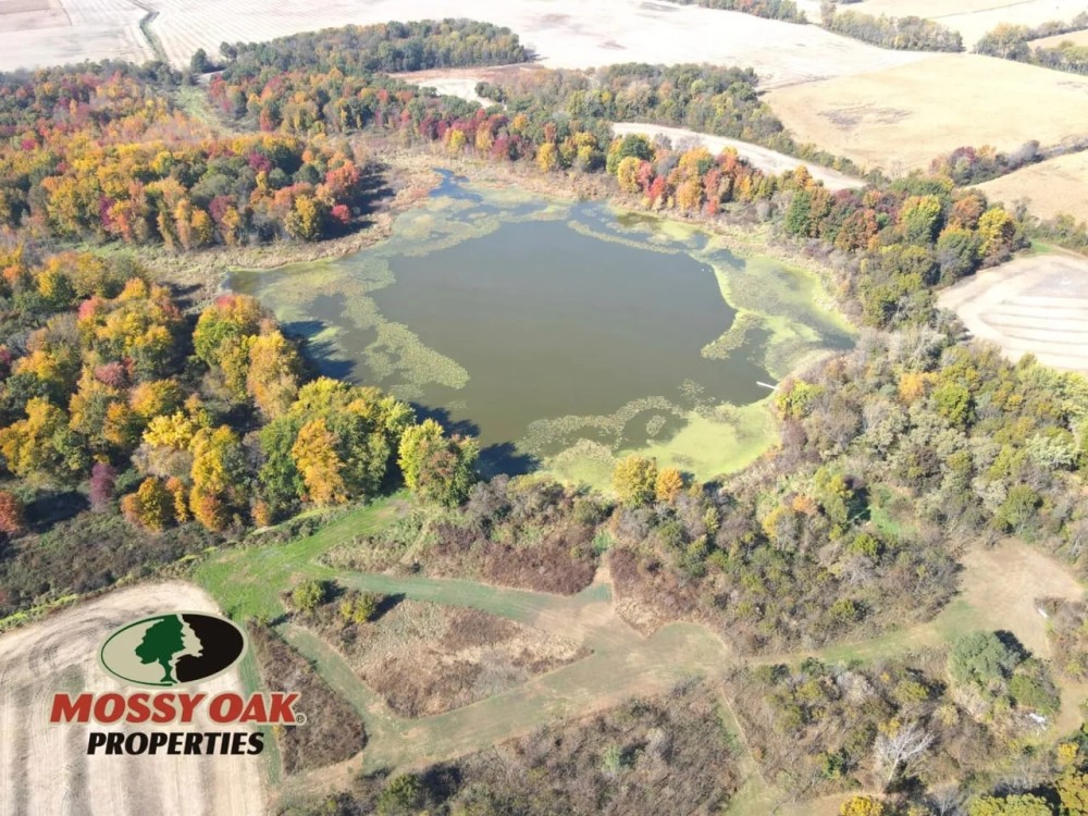 49 - acres Rochester IN Fulton County Land For Sale featured image