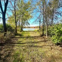 49 - acres Rochester IN Fulton County Land For Sale images 4