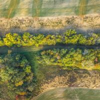 TBD Sawmill Pinckneyville IL images 3
